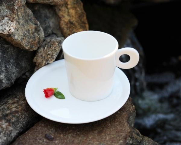 Bone China Bone China